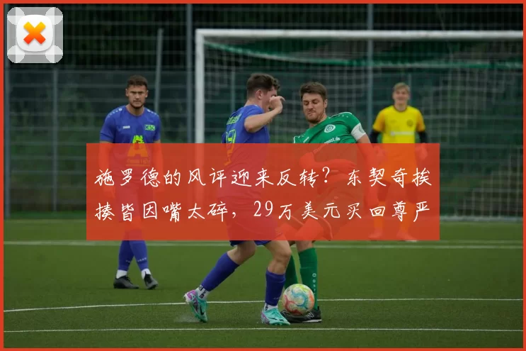 施罗德的风评迎来反转？东契奇挨揍皆因嘴太碎，29万美元买回尊严值不值？