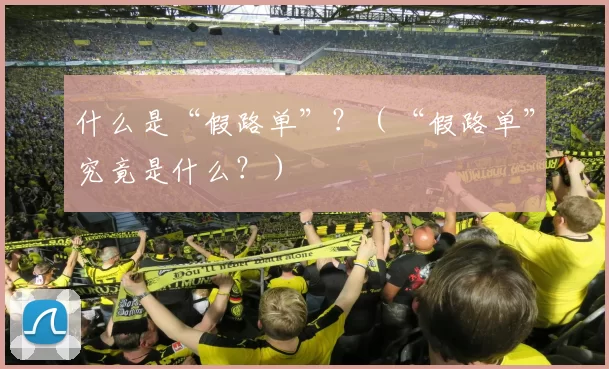 什么是“假路单”？（“假路单”究竟是什么？）