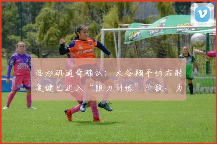 洛杉矶道奇确认：大谷翔平的右肘复健已进入“阻力训练”阶段，力量恢复达 90%