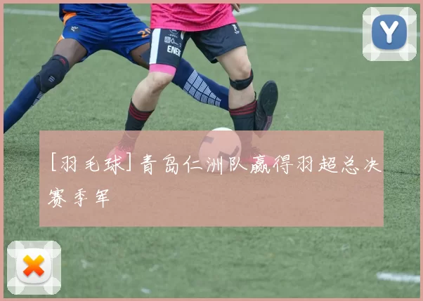 [羽毛球]青岛仁洲队赢得羽超总决赛季军