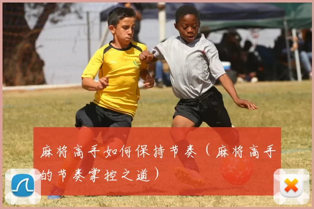 麻将高手如何保持节奏（麻将高手的节奏掌控之道）