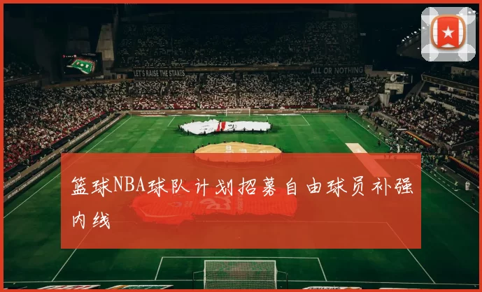 篮球NBA球队计划招募自由球员补强内线